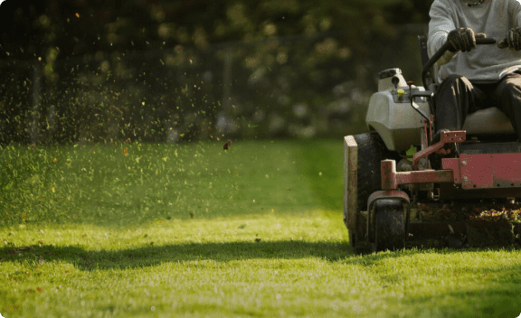 Full service lawn care